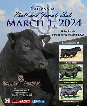 26th Annual Lotta Bull Sale