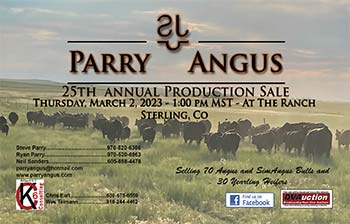 25th Annual Lotta Bull Sale